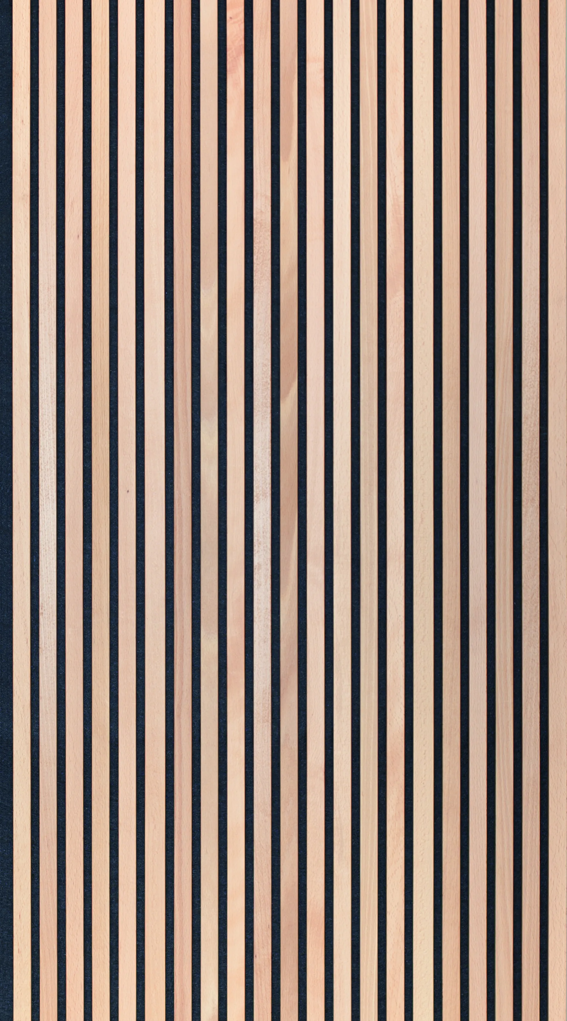 Akustikpaneel Buche 2600 x 625 mm - lackiert oder geölt - Vlies schwarz oder grau 