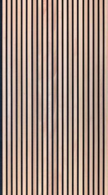 Akustikpaneel Buche 2600 x 625 mm - lackiert oder geölt - Vlies schwarz oder grau 